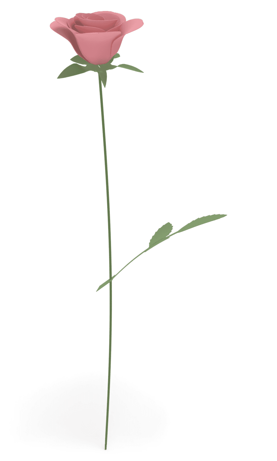 Rose en papier, tige montée