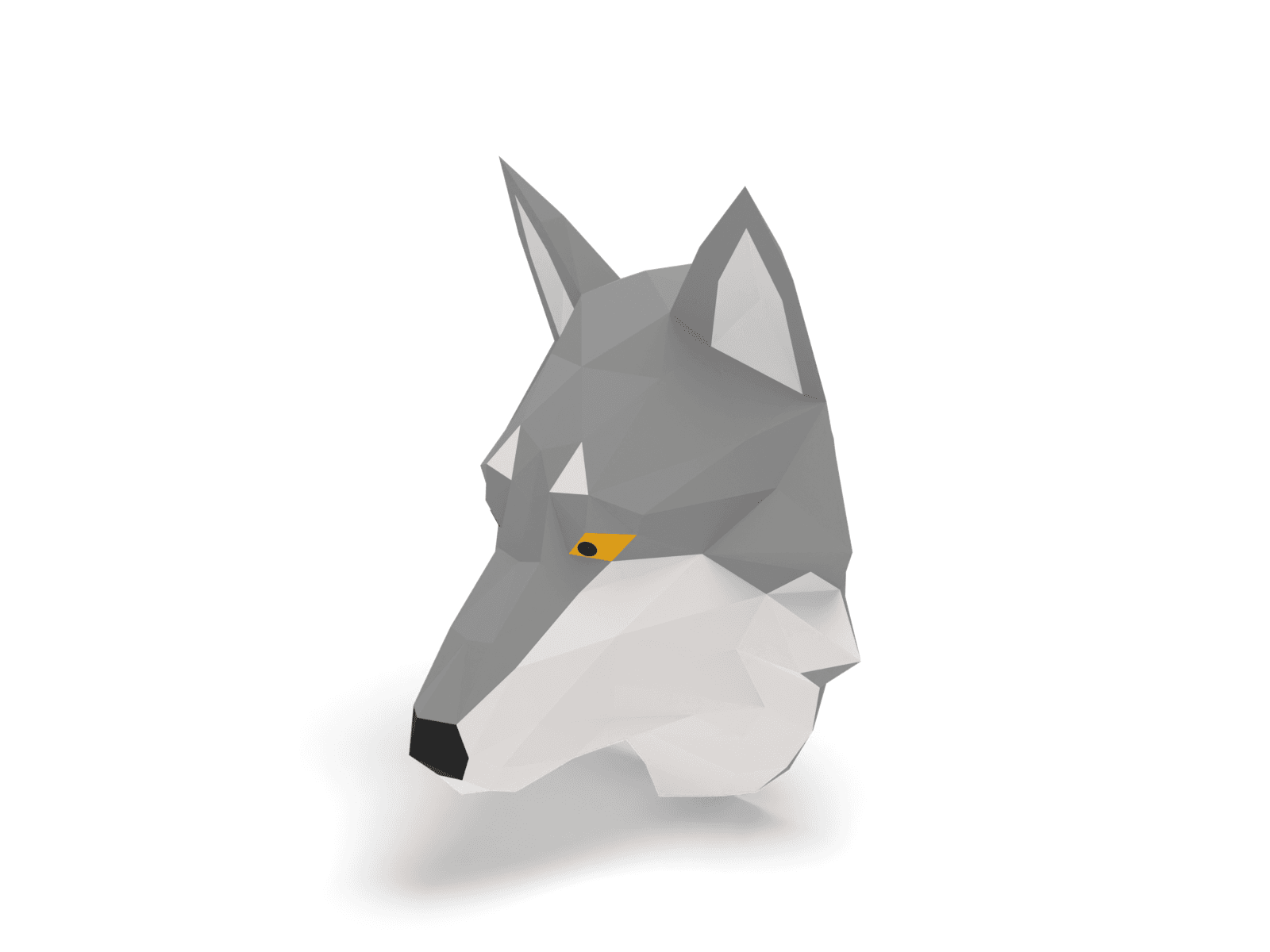 Trophée loup gris — front left